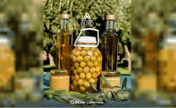 ¿Cuál es la Ruta del Olivo y dónde queda?