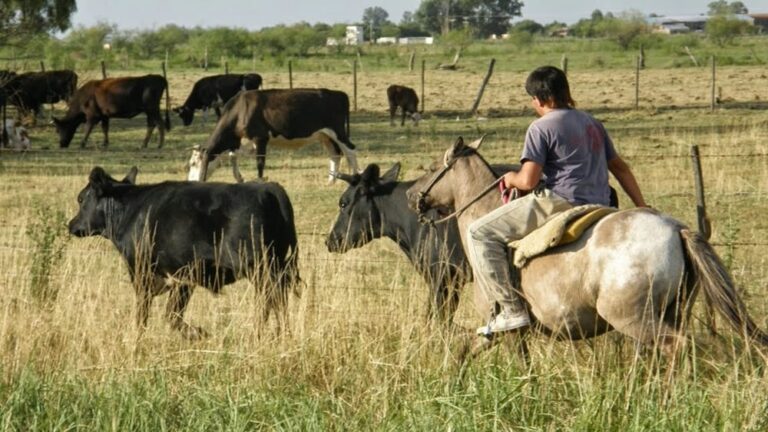 Difundieron la nueva escala salarial para trabajadores rurales