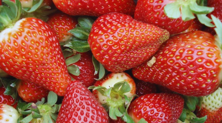 Aplican tecnologías para la conservación de frutas regionales