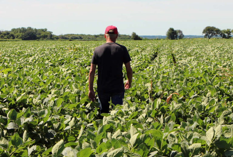 Por la escasa rentabilidad los productores agropecuarios se plantean si es momento de invertir