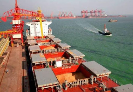 Los embarques de granos, subproductos y aceites crecieron un 60% en 2024