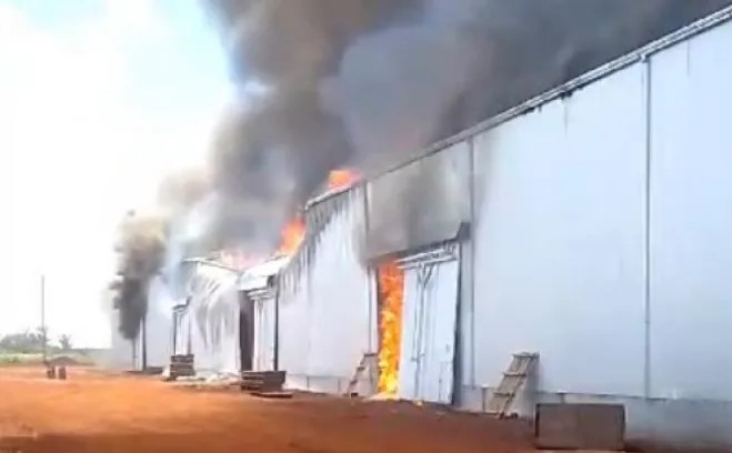 Corrientes: un incendio “devoró” un galpón de la cooperativa yerbatera Playadito
