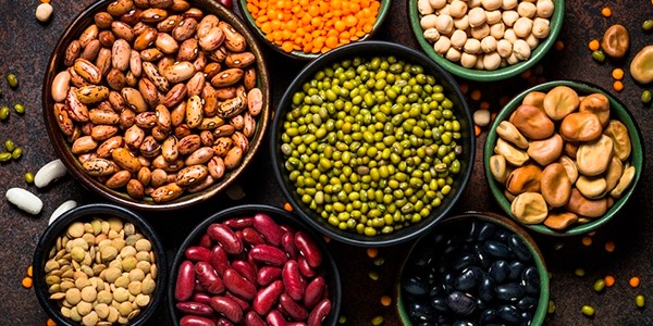 Una campaña mixta para las legumbres en la Argentina