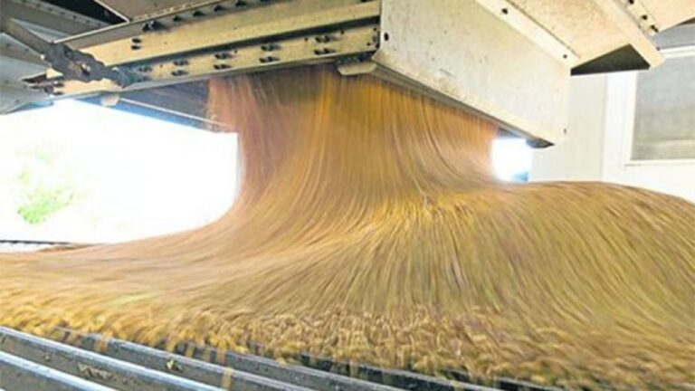 El crushing de soja vuelve a máximos históricos para el último mes del año