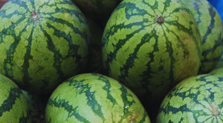 Impulsan una producción frutihortícola más eficiente