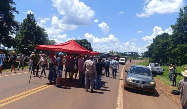 Yerbateros en pie de “guerra” por medida de Milei contra el Instituto de la Yerba Mate
