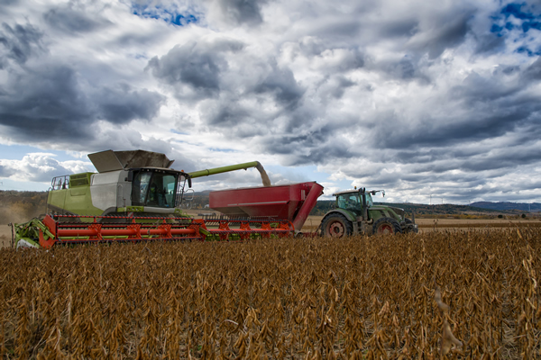 Cómo alcanzar una cosecha eficiente con la digitalización de la gestión agropecuaria