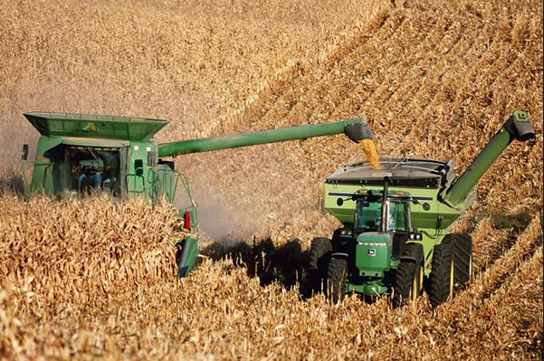 Proyecciones del USDA para el agro estadounidense al 2034