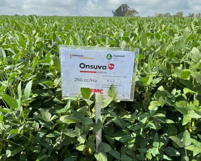 Es fundamental la protección del cultivo de soja en la última etapa del ciclo