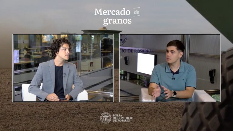 Mercado de granos: récord de divisas por soja y fuerte repunte exportador