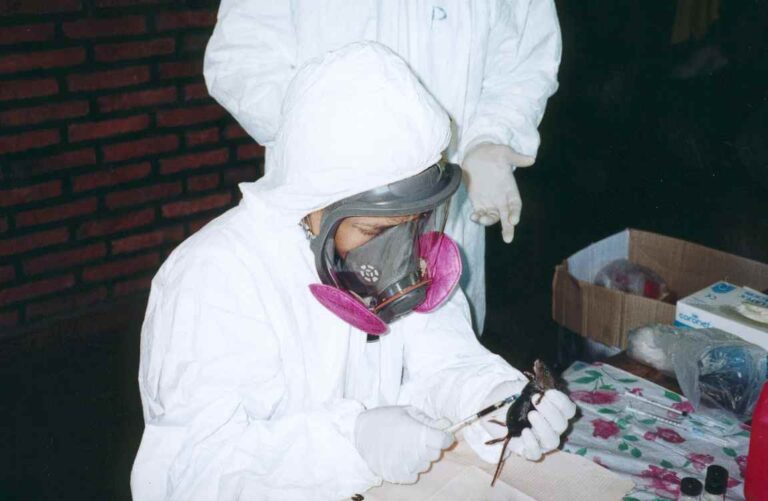 La amenaza del hantavirus y la falta de vigilancia