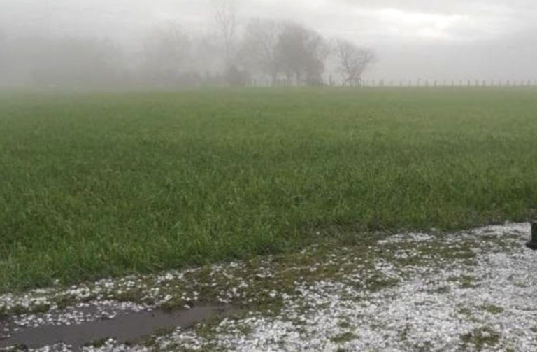 Cómo afectan a la cosecha las fuertes lluvias en la región núcleo