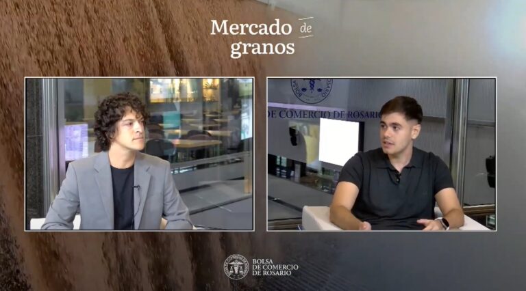 La BCR lanzó un informe semanal en vivo sobre el mercado de granos