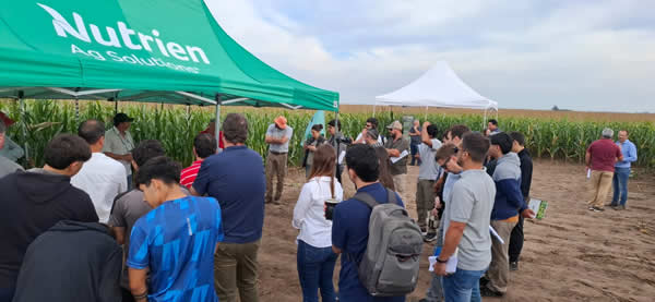 Nutrición y manejo de suelos: 25 años de trabajo entre Nutrien y CREA Sur de Santa Fe