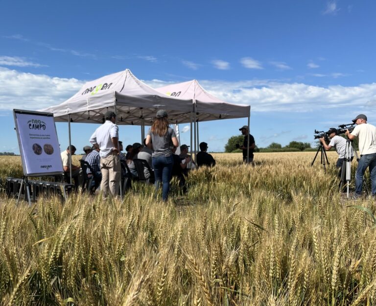 Neogen Semillas impulsa al agro y lanza productos con genética de vanguardia