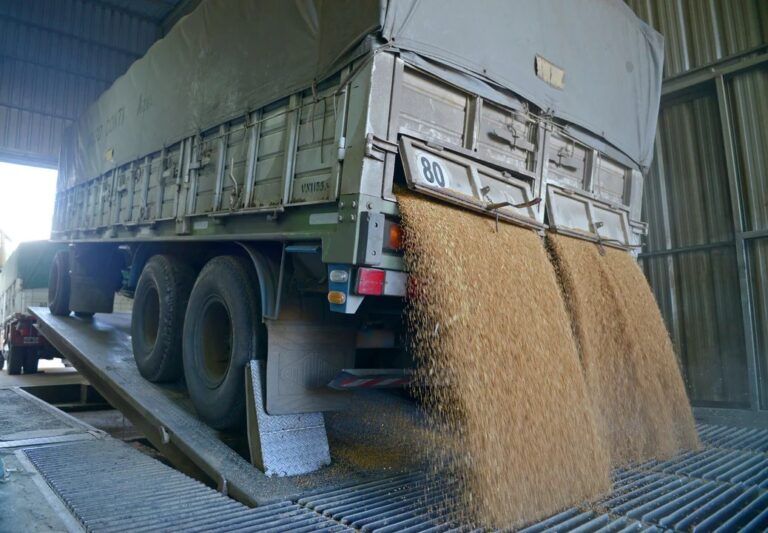 Eliminan el Registro Único de la Cadena Agroindustrial y unifican la información