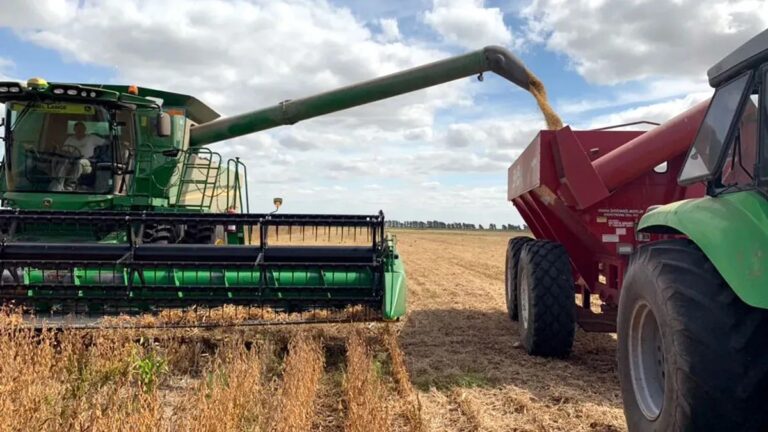 Se cosechó solo el 2% de la soja de primera con rindes que no superan los 40 qq/ha