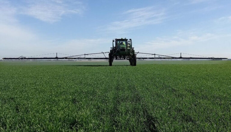 Mercado de microgranulados en Argentina y Latam afronta desafíos con perspectivas de recuperación