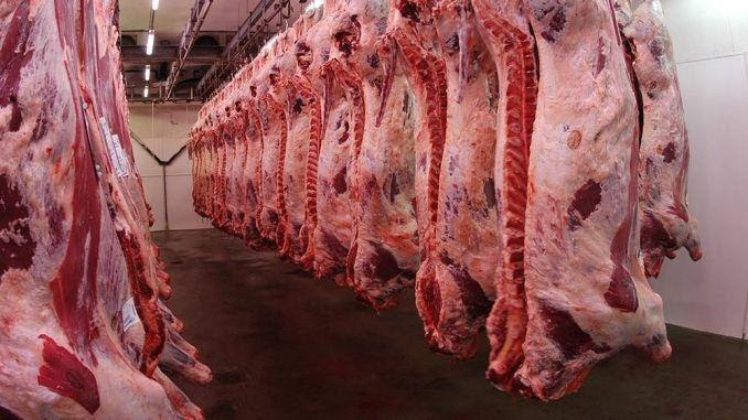 Bajó un 5,3% el consumo promedio de carne vacuna medido a febrero