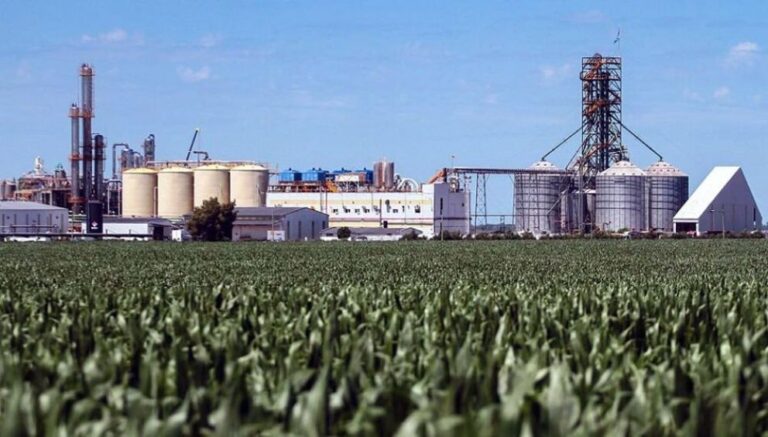 En la última década la agroindustria aportó el 92% de las divisas netas de la economía argentina