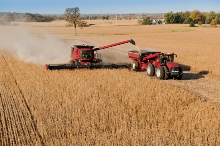 Buen tiempo: 1,2 millón de hectáreas cosechadas de soja y rindes sorprendentes