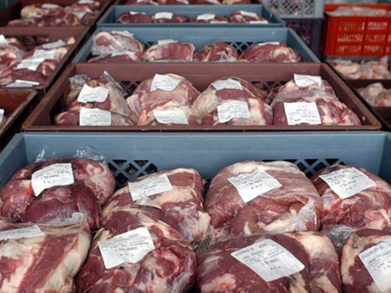 Se exportaron 62,2 mil toneladas de carne vacuna en abril