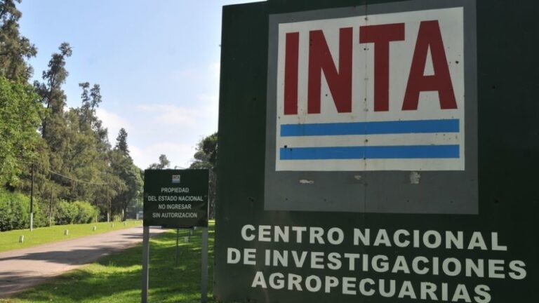 Ex funcionarios de Agricultura sostienen que el gobierno quiere desguazar el INTA