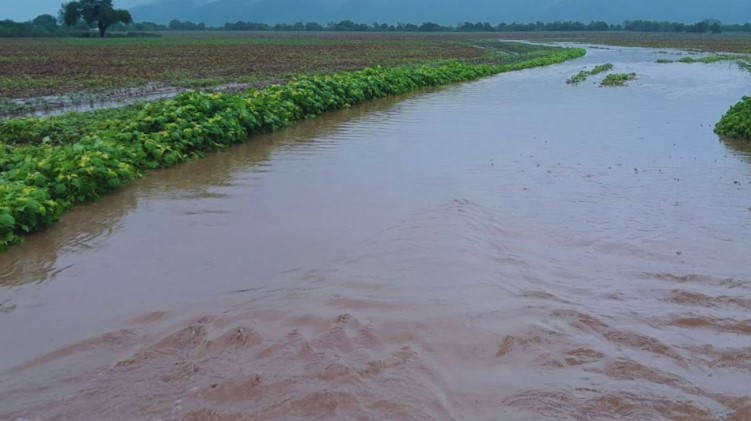 Manejo agrohidrológico: estrategia para mitigar la erosión