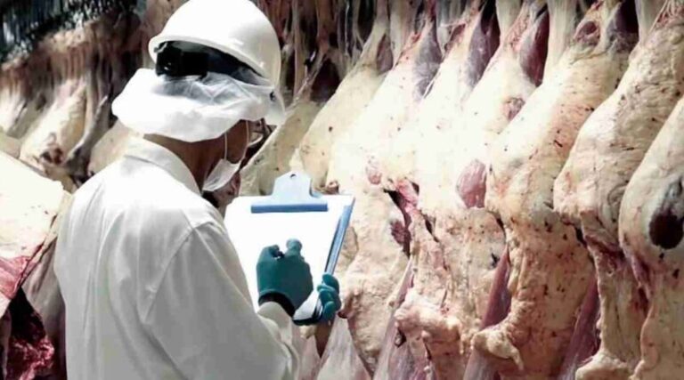 Bajaron 3% las exportaciones de carne durante mayo