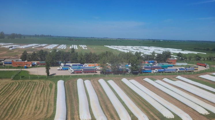 La poscosecha es la nueva frontera de la eficiencia agrícola