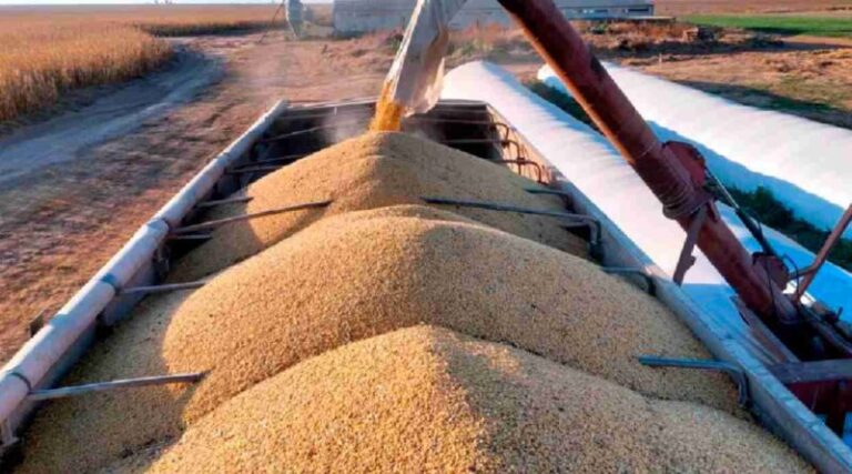 Histórica avalancha de ventas al exterior de soja