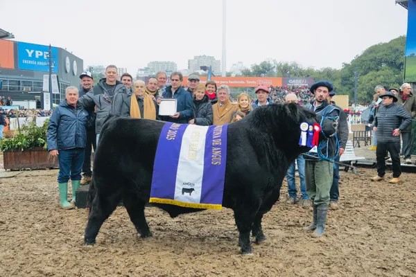 Expo Rural 2025: remataron por $115 millones a “Picante”, toro de la raza Angus