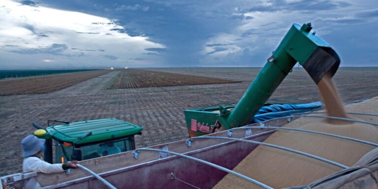 El final de la baja de las retenciones aceleró la liquidación de granos