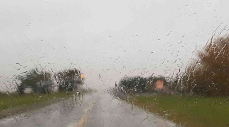 LLuvias en la región pampeana plantea buenas reservas para el trigo y el maíz 2025/26