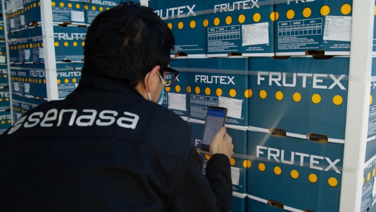 Comienza la certificación fitosanitaria electrónica para exportar a Brasil