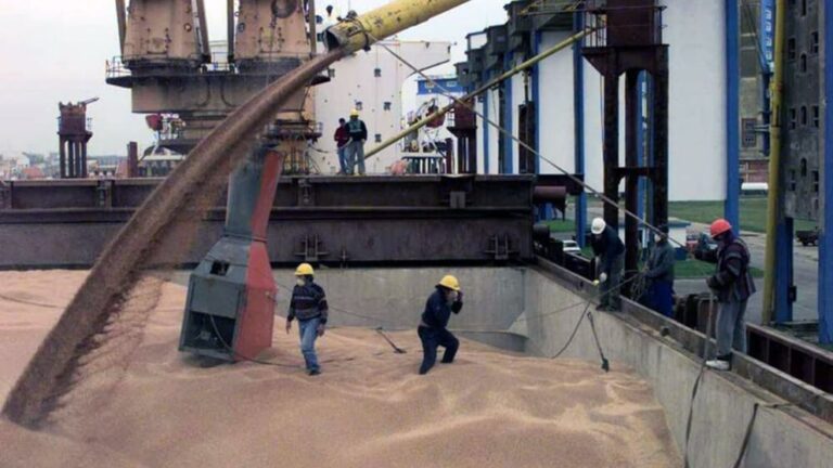 Récord de agroexportaciones con más de 70 millones de toneladas