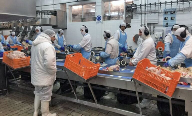 Trabajadores avícolas: aumento salarial del 6,7% para el trimestre agosto-octubre