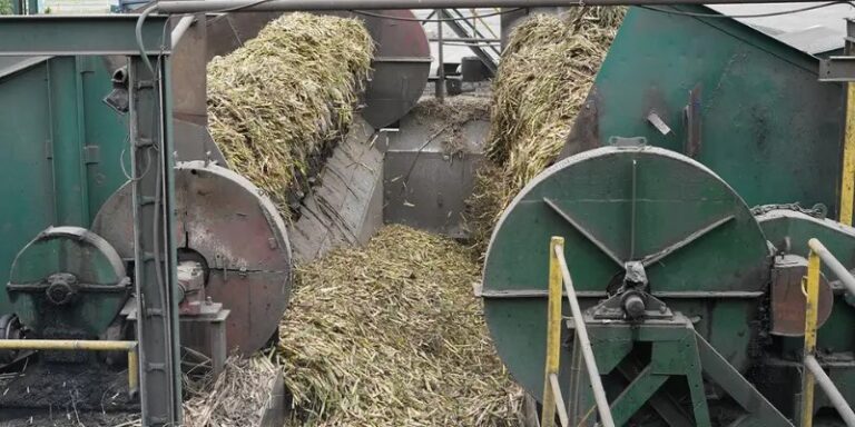 Así viene el ritmo de la molienda de caña de azúcar