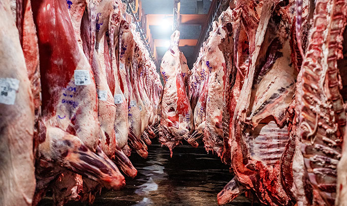 El Gobierno también eliminará las retenciones para la carne avícola y bovina