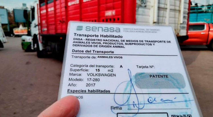 Nueva habilitación de transportes de animales vivos y productos de origen animal