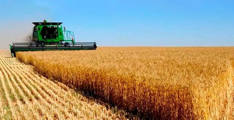 La Sociedad Rural de Rosario pide una baja “inmediata” de retenciones