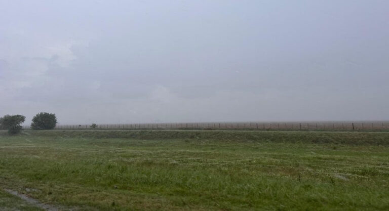 Cuál fue el impacto en el campo de las lluvias del fin de semana