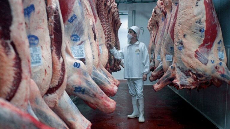 Firmes exportaciones de carne vacuna y expectativa por acuerdo con Estados Unidos