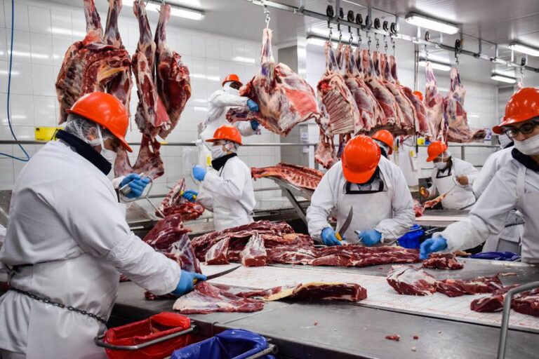 Estados Unidos cuadriplicó la cuota de compra de carne vacuna argentina