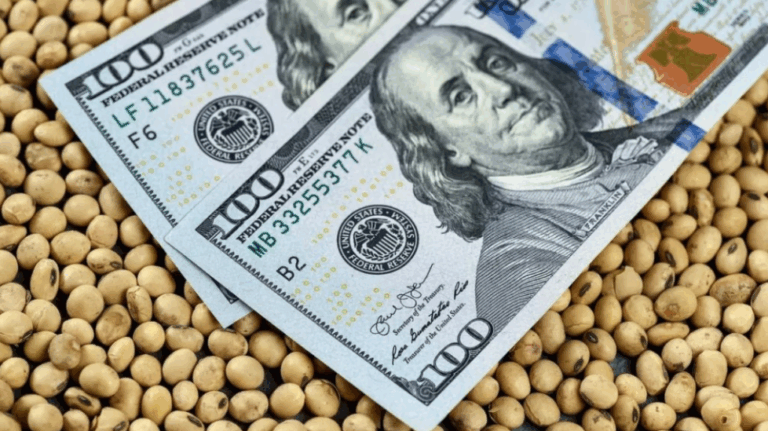 Advierten que el ingreso de dólares del agro podría desplomarse un 80% en el final del año