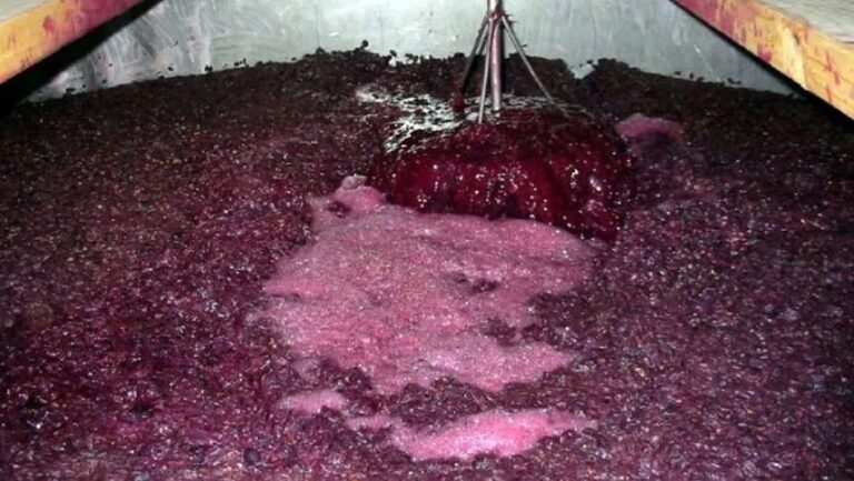 Juicio millonario impacta sobre la vitivinicultura cuyana y genera fuerte polémica en la región