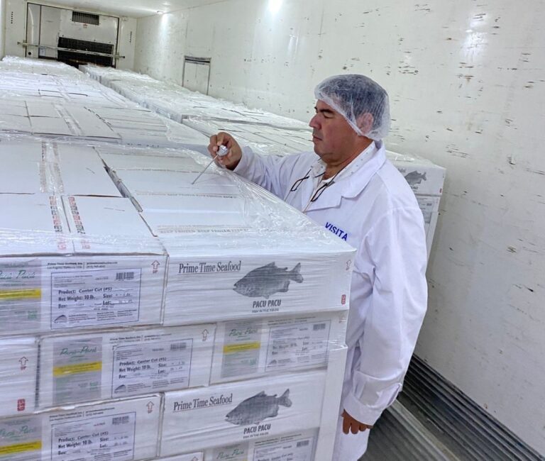 Argentina exportó 8.200 kilogramos de carne de pacú desde Chaco a Estados Unidos