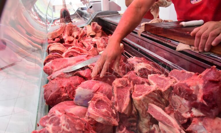 Mínima variación del precio de la carne vacuna ante retrocesos del pollo y el cerdo