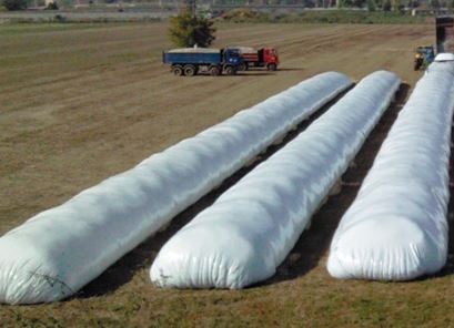 Más del 40 % de la producción nacional se conserva en silobolsas