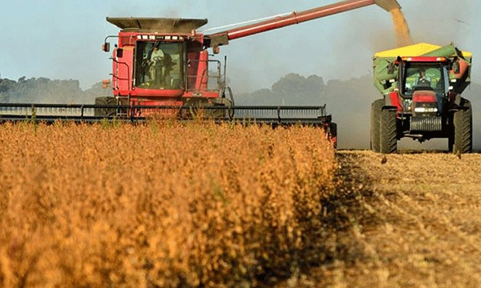 Balance de oferta y demanda regional de trigo 2025/26